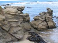 Albums/20060200-New Zealand 2006/20060316-Twiz/1